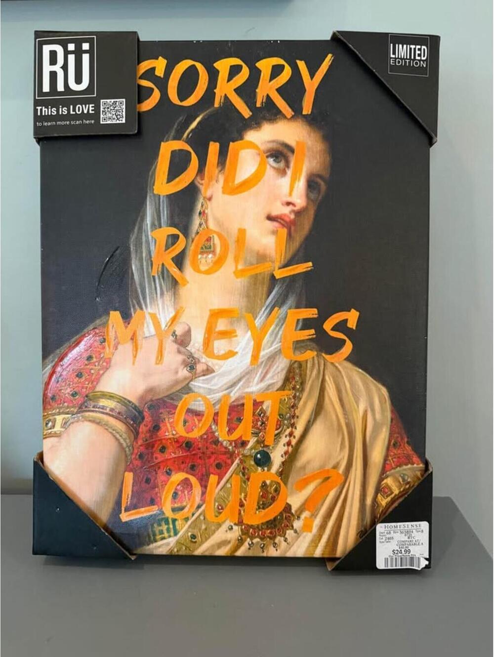NWT Canvas Art - 'Sorry Did I Roll My Eyes Out Loud?'
